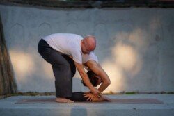 Alan supporting the student's backbend in Kapotasana (Pigeon Pose) during an Ashtanga session (Intermediate Series - Nadi Shodhana).
